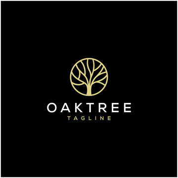 simple oak tree vector logo design
