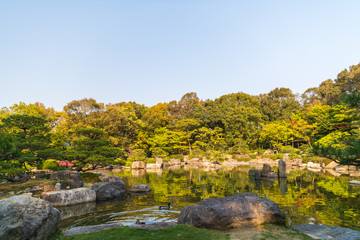 Fototapeta na wymiar 水と緑のオアシス大濠公園【福岡県】