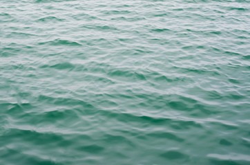 Abstract background closeup sea of green color.