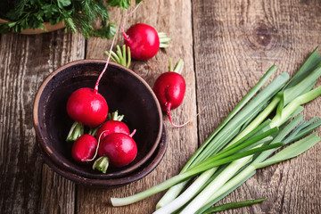 Plant fresh green vegetables and herbs cooking ingredient