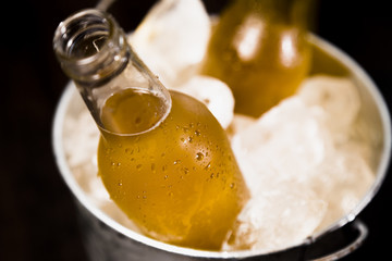Beer bottles with ice