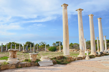 Fototapeta na wymiar Stunning ruins of ancient city Salamis, Northern Cyprus with blue sky above. Salamis was a Greek city-state. The Corinthian columns were part of famous Salamis Gymnasium. Popular Tourist attraction