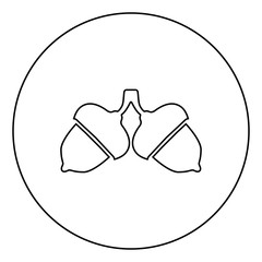 Two acorn icon in circle round outline black color vector illustration flat style image