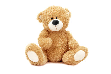Teddy bear - 266559399