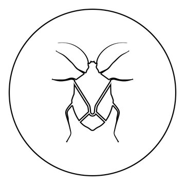 recommend clip art: Bug Bedbug Chinch True bugs Hemipterans Insect pest icon in circle round outline black color vector illustration flat style image