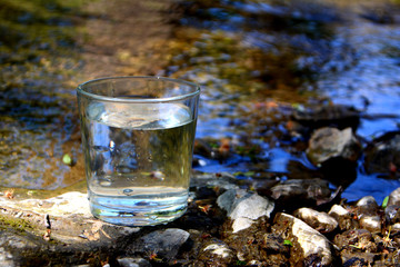 A glass of clean water on the river bank