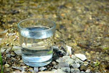 A glass of clean water on the river bank