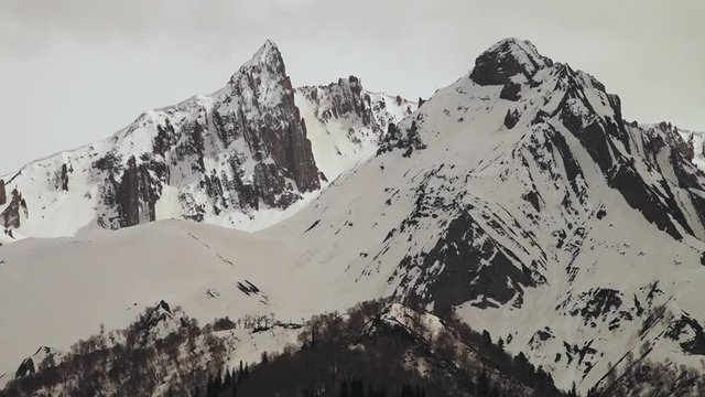  close-up, low-angle still shot of Himalayan ranges peaks with glacier covering their cirques and ar tes, flowing, passing through pine trees slope, Ladakh mountain pass, India