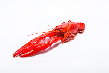 Delicious spicy crayfish Chinese food