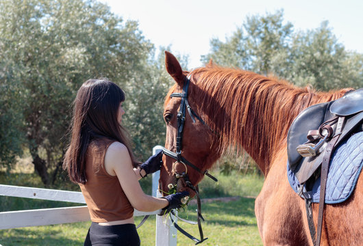 female rider cares for her horse