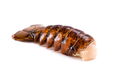 Lobster Tales Isolated on a White Background