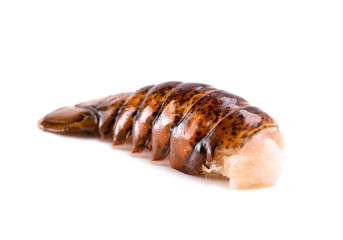 Lobster Tales Isolated on a White Background