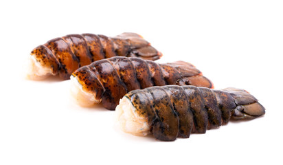 Lobster Tales Isolated on a White Background