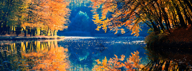 Autumn landscape of the forest on the shore of the lake