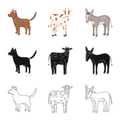 Vector design of breeding and kitchen  symbol. Set of breeding and organic  vector icon for stock.