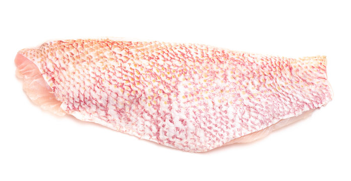 Side of Red Snapper on a White Background