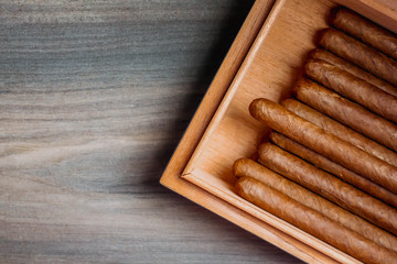 Cigars in humidor on the wooden background