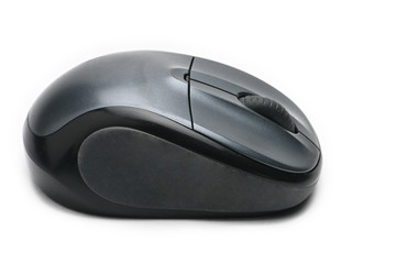 Computer mouse on white background