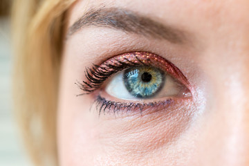 Female blue eye with beautiful make-up, close up