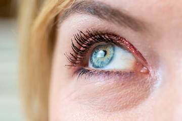 Female blue eye with beautiful make-up, close up