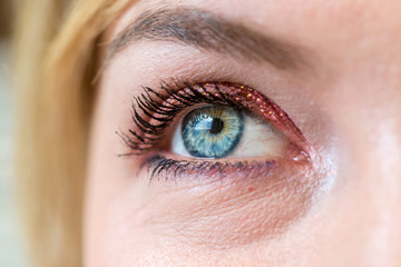 Obraz premium Female blue eye with beautiful make-up, close up