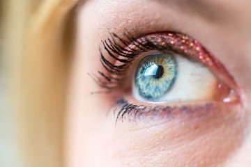 Female blue eye with beautiful make-up, close up