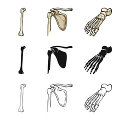 Vector illustration of medicine and clinic symbol. Collection of medicine and medical vector icon for stock.