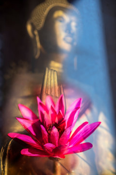 A peaceful superimposed and double exposure images of Golden Buddha statue from Wat Pathum Wanaram, Bangkok, Thailand and a beautiful pink lotus.