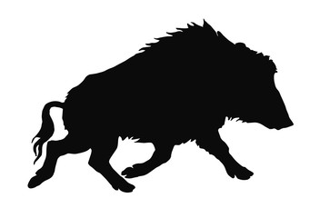 isolated image silhouette of a running wild boar