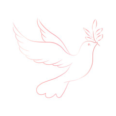 Beautiful line sketch dove bird vector illustration