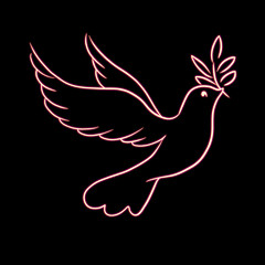 Beautiful neon line sketch dove bird vector illustration