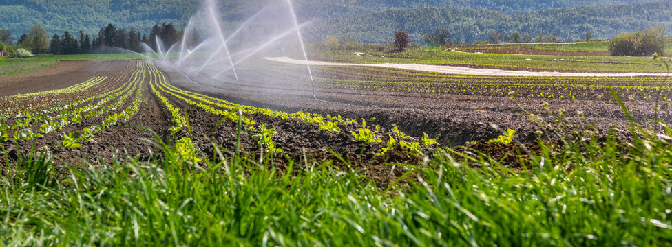 Park Irrigation Photos Royalty Free Images Graphics Vectors Videos Adobe Stock