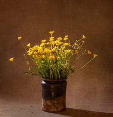 still life with wild flowers, spring time