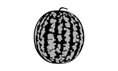 watermelon vector image.