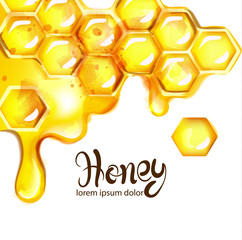 Honeycomb and bees Vector watercolor template. white backgrounds - 266568550