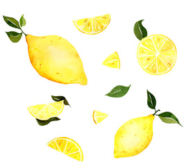 Watercolour hand drawn fresh lemons. sliced with leaves