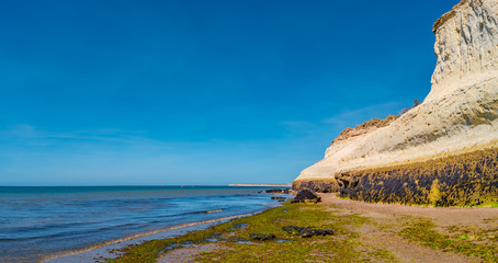 Beautiful Atlantic coastline in peninsula Valdes at low tide with alga, seashells and caves, Patagonia, Argentina
