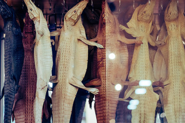 Fototapeta na wymiar The whole young crocodile leather is hung for sale to be used in stuffed animals in Vietnamese souvenir shops.