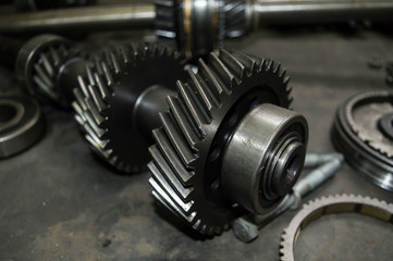 Fototapeta na wymiar Gears, impaled on the shaft spline. Replacement spare part of the machine tool.