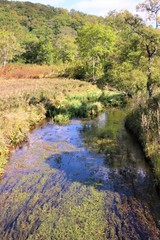 尾瀬ヶ原のハイキングコース