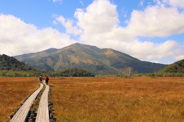 尾瀬ヶ原の草紅葉