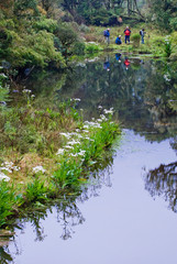 Caminhada pela trilha