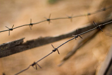  barbed wire. barbed wire fence