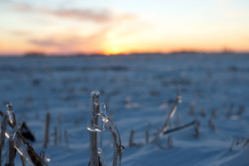 winter farm land