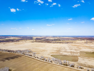 Aerial view of the asphalt road in a field with yellow grass during planting seeds and crops far from big cities on a clear spring day under a blue sky with trees to protect from the wind.