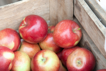 Fototapeta na wymiar apples in a basket