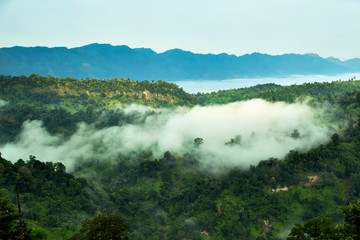 Forested Mountain Valley in Cloud Fog During Summer Scenic Natural Landscape View Greener Pastures