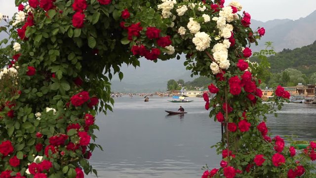 Wide shot of boats floating leisurely across Dal lake with mountains in the background, frames within an arch of purple and white flowers in the foreground