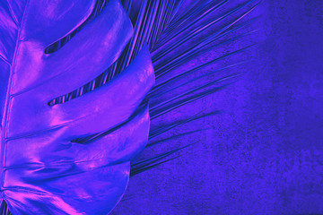 Palm and monstera leaves in vibrant holographic neon colors. Tropical conceptual minimal surreal...