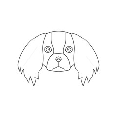 Pekingese face icon. Element of dog for mobile concept and web apps icon. Outline, thin line icon for website design and development, app development